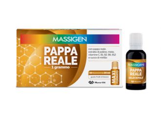 Massigen pappa reale 10 flaconi da 25 ml